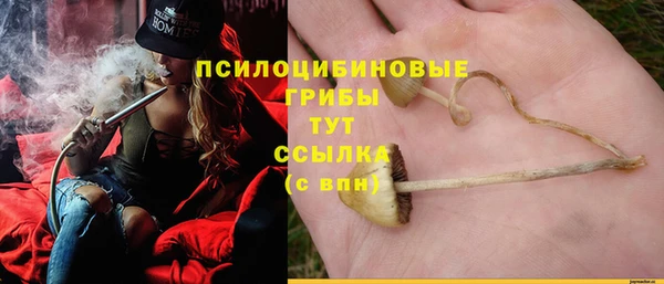 ГАЛЛЮЦИНОГЕННЫЕ ГРИБЫ Краснослободск