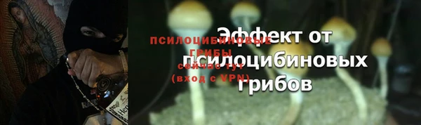 a pvp Краснотурьинск