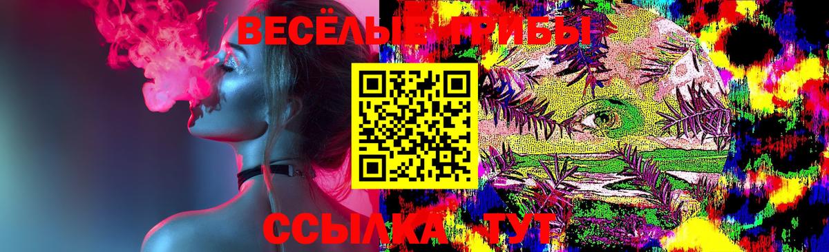 Галлюциногенные грибы GOLDEN TEACHER Слободской